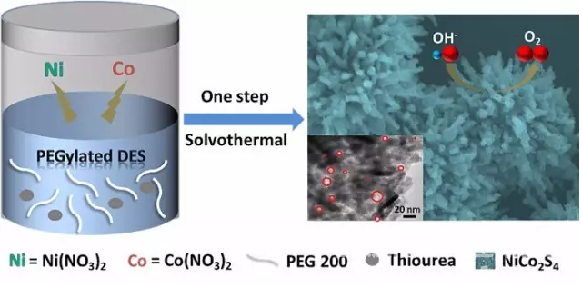 聚乙二醇化低共熔溶剂的形成及其应用于溶剂热制备高活性的析氧反应催化剂