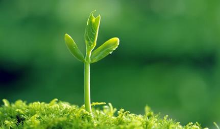 石油污染中土壤修复的研究进展