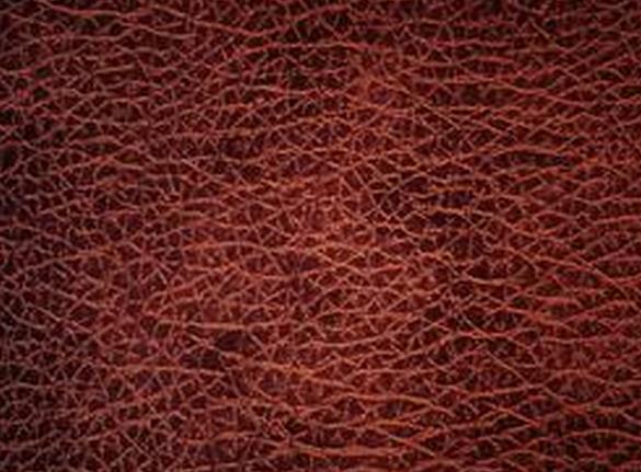 含氟化合物的合成及其在制革工业中的应用