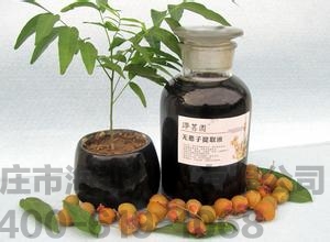 生物表面活性剂是什么？常见的生物表面活性剂种类及应用