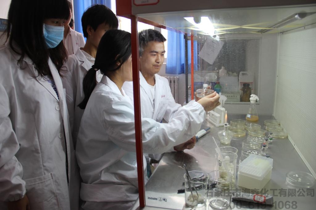 二乙醇单异丙醇胺对水泥粉磨性能影响的对比实验