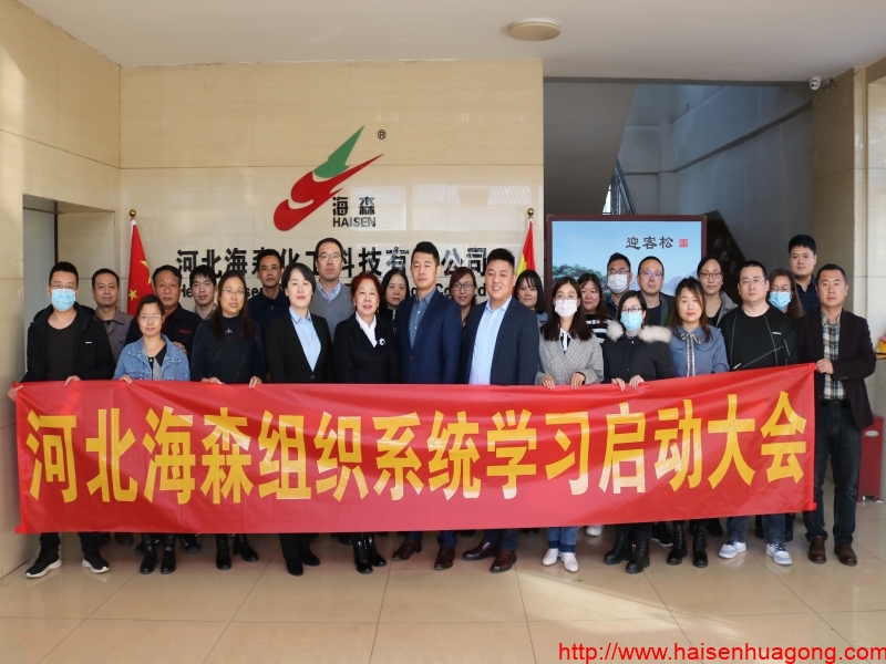 河北海森举办系统学习启动大会