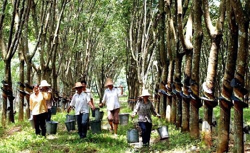 橡胶上游化工商品普涨 上下游价格水涨船高