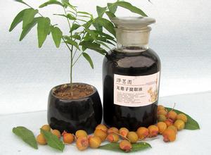 生物表面活性剂是什么？